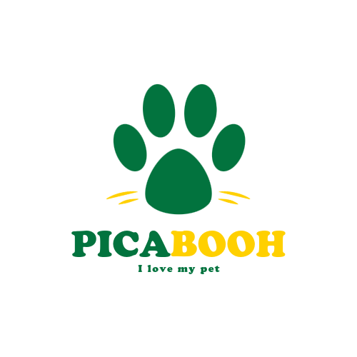 picabooh.com